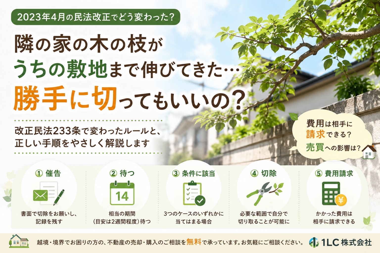 隣の木の枝が越境してきたら勝手に切っていい？【2023年民法改正】自分で切れる3つのケースと正しい手順