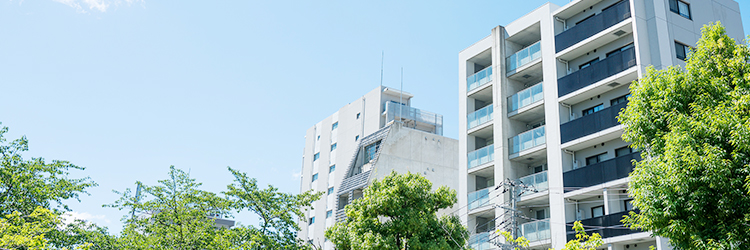 一般の方が、普通はなかなか見つける事ができない情報を積極的に提供しています。